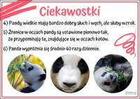 Szkoła Podstawowa w Korczynie