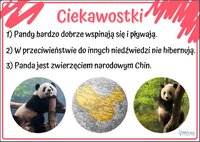 Szkoła Podstawowa w Korczynie