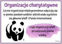 Szkoła Podstawowa w Korczynie